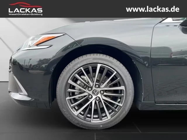 2026 Lexus ES 300 h BUSINESS 218HP PANO CAM NAVI 254h — 8